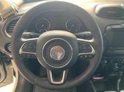 JEEP RENEGADE full