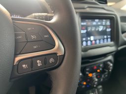 JEEP RENEGADE full