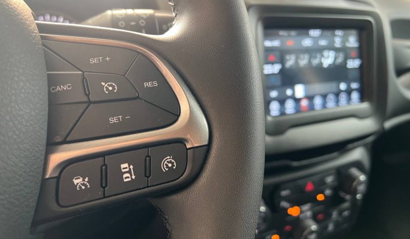 JEEP RENEGADE full