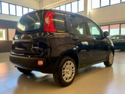 FIAT PANDA full