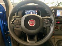 FIAT PANDINA full