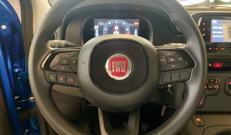 FIAT PANDINA full