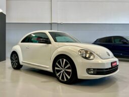 VOLKSWAGEN MAGGIOLINO full